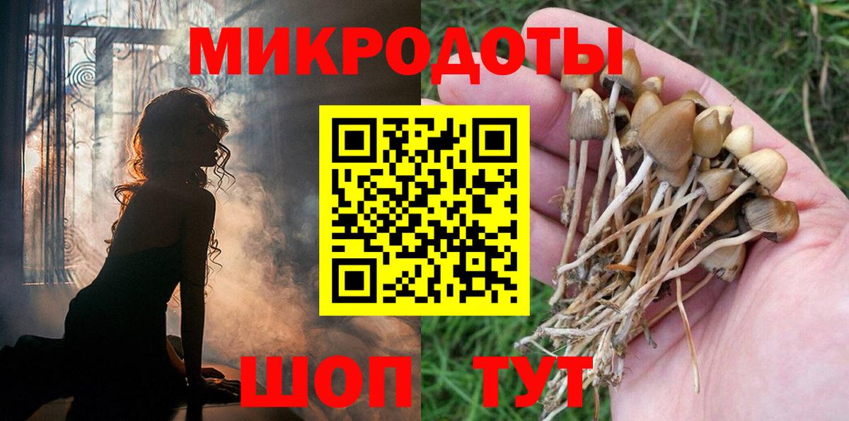 Галлюциногенные грибы MAGIC MUSHROOMS Северобайкальск