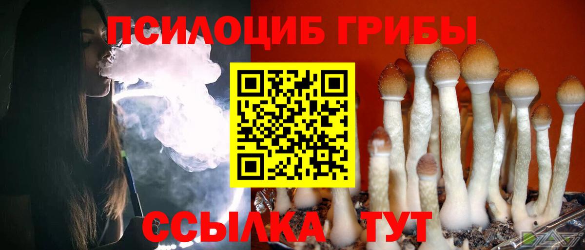Галлюциногенные грибы GOLDEN TEACHER  Вход с VPN  Северобайкальск 